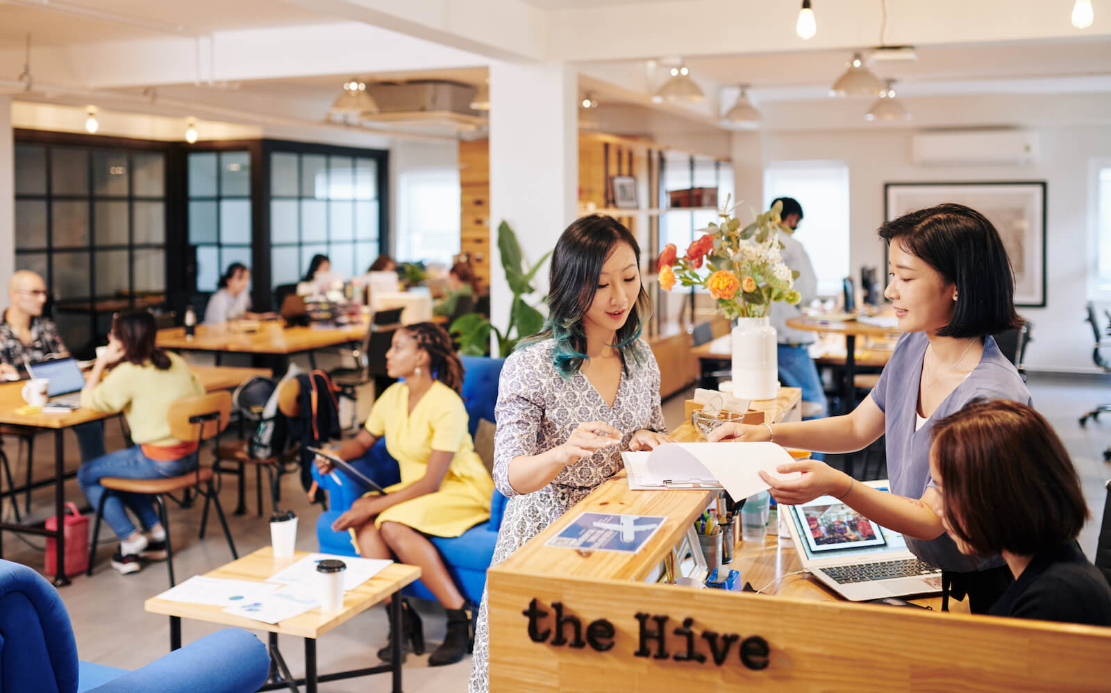 The Hive Thao Dien